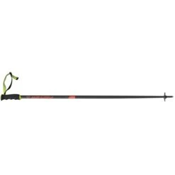 Fischer RC4 The Curv AL Ski Poles 2020