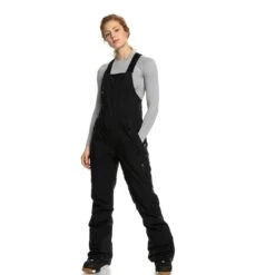 Roxy Gore-Tex Stretch Prism Bib Pant Women's 2023