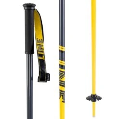 Line Skis Tac Ski Poles 2020
